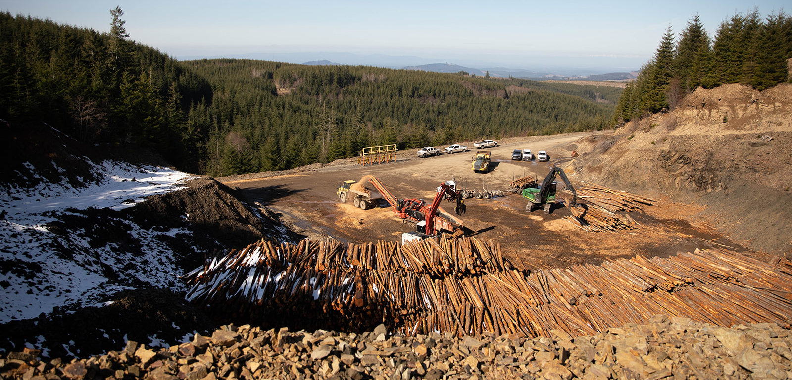 Three excavators moving logs for land clearing with a forest in the background