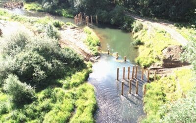 Essential Waterfront Bulkhead Repairs: Protecting Your Shoreline Investment