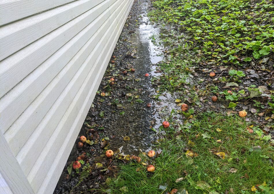 How to Fix Standing Water in Your Yard: Professional Drainage Solutions That Last